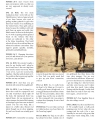 ponies-24_7-magazine-v5i4_Page_07.jpg